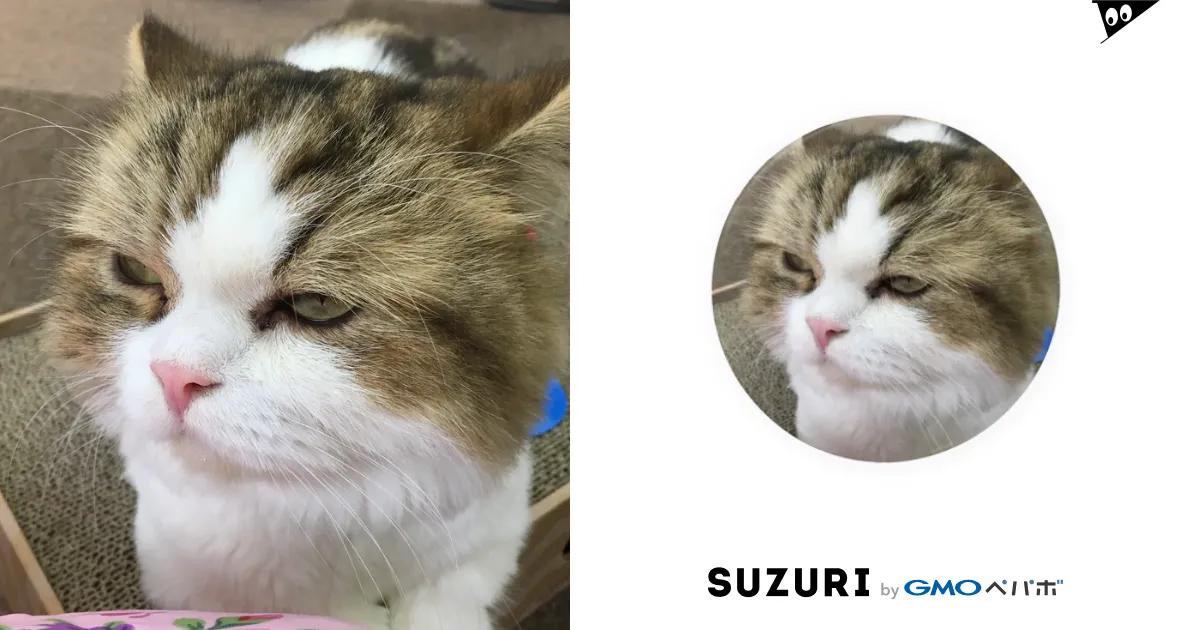 目つき悪い猫ちゃん / upa46の缶バッジ通販 ∞ SUZURI（スズリ）