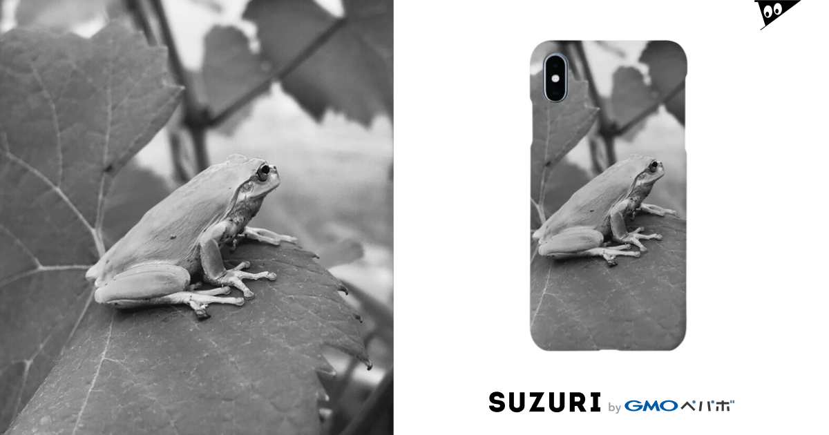 Axucigf Z2oojm Axucigf Z2oojm